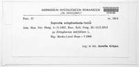 Image Associated With the Occurence